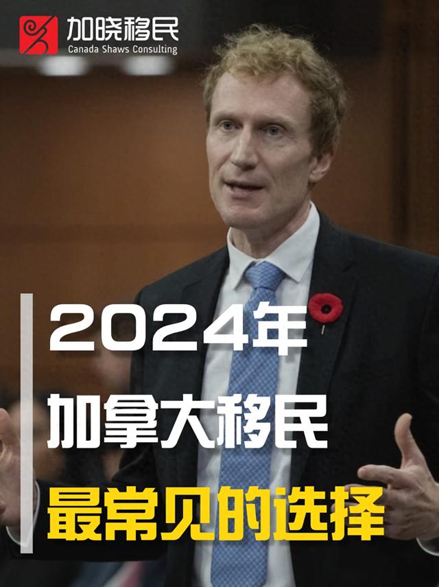 2024年最常见的加拿大移民选择，收藏！-1.jpg