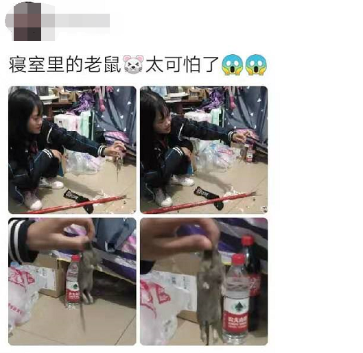 30张搞笑图片大合集，我看一次笑一次-21.jpg