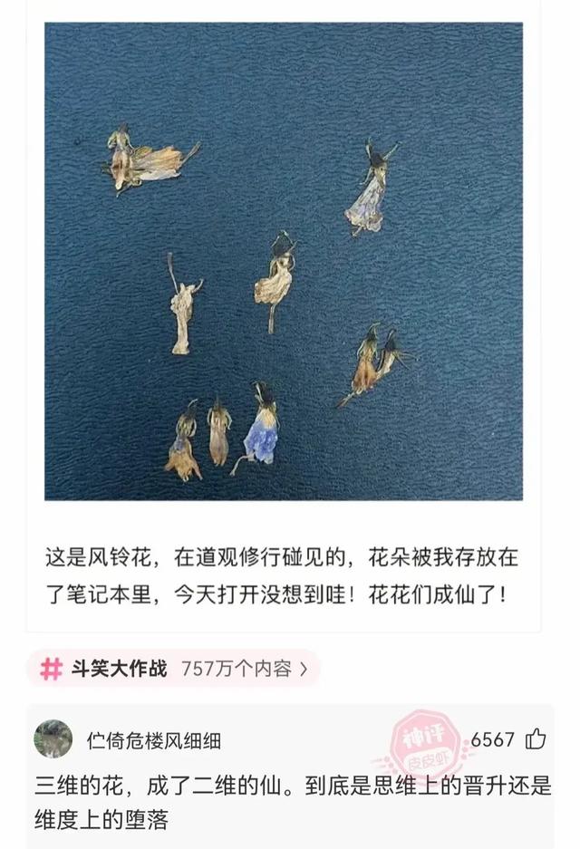 说说你身边最为震惊的八卦？网友：知道后瞬间震碎你的三观-28.jpg