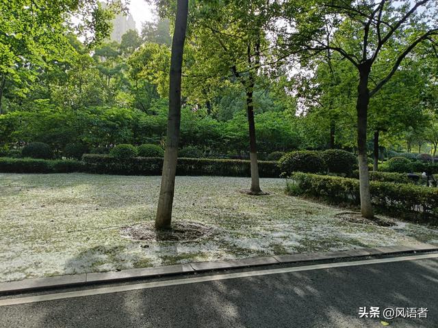 普通人写头条，到底是要流量还是要声音-1.jpg