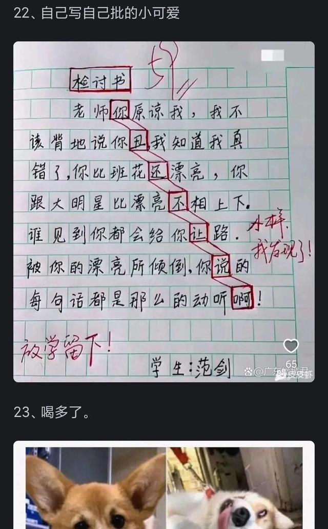 哪些让人笑到肚子疼的搞笑图片？网友太搞笑了-9.jpg