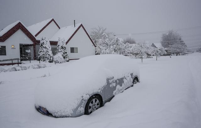 雪中温哥华-2.jpg