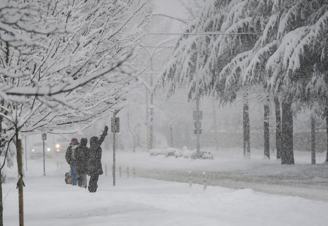 雪中温哥华-4.jpg