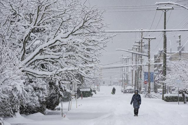 雪中温哥华-1.jpg