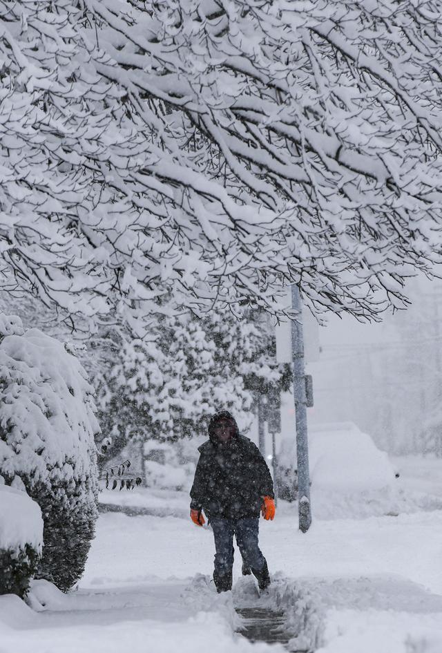 雪中温哥华-6.jpg