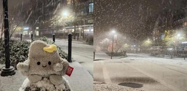 倒反天罡！温哥华昨晚突降大雪，今年下雪比多伦多还早……-1.jpg