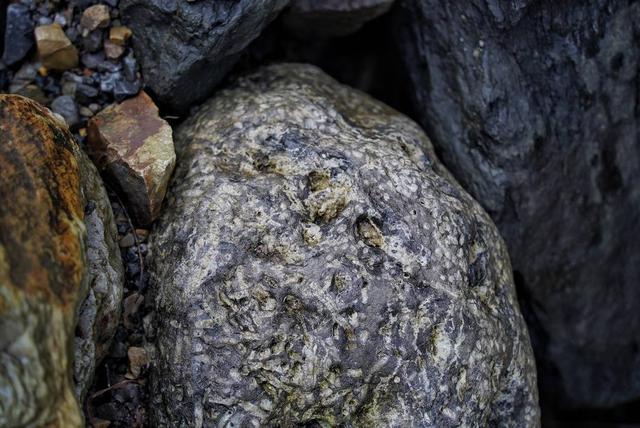 绵阳北川惊现满山化石？别急，随便挖可能触犯法律！| 封面头条-4.jpg